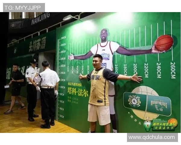 南京篮球队个人能力分析与表现评估的深度研究与探讨 南京篮球队个人能力分析与表现评估的深度研究与探讨