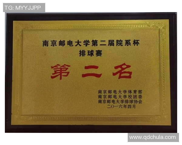 南京排球队运营策略深度分析与发展前景探讨