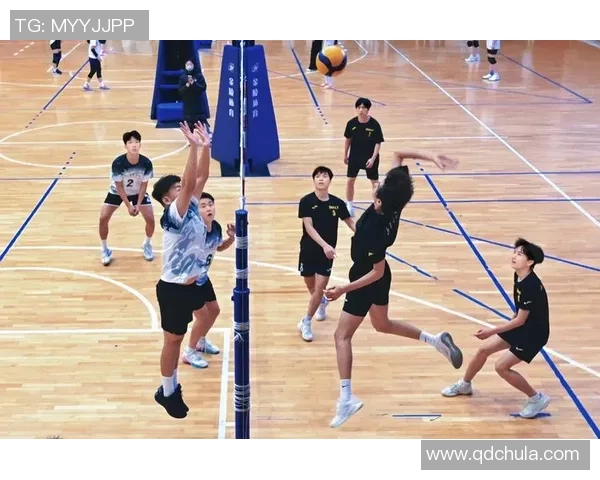 杭州排球队的默契配合与战术探讨聚焦排球的团队精神与协作技巧