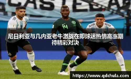 尼日利亚与几内亚老牛激战在即球迷热情高涨期待精彩对决
