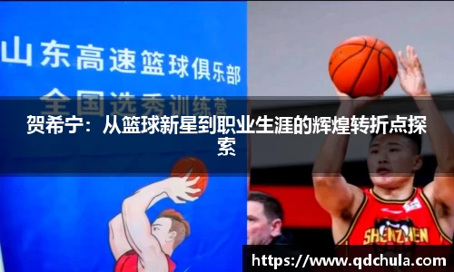 贺希宁：从篮球新星到职业生涯的辉煌转折点探索